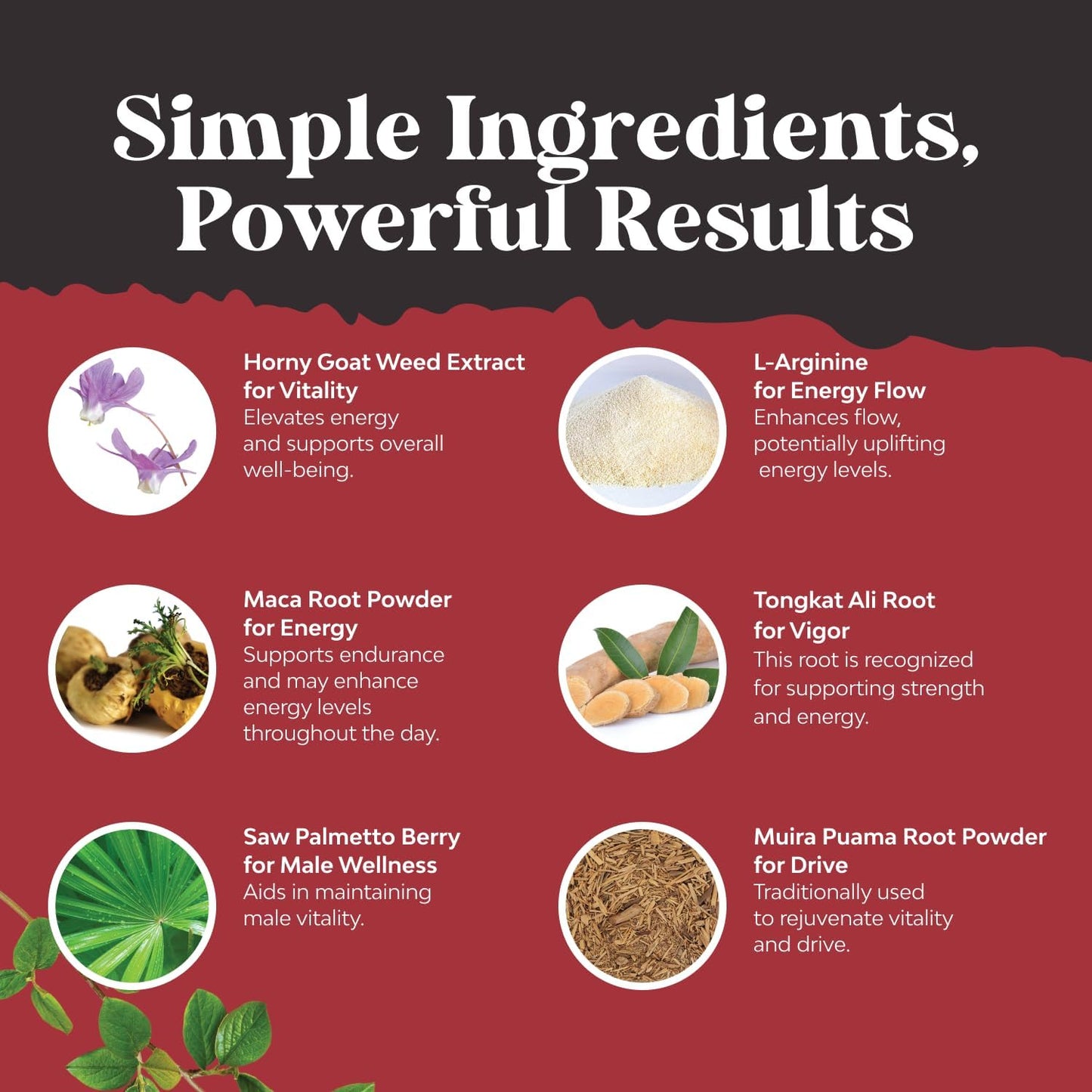 Extra Strength Horny Goat Weed – Stamina & Energy Supplement - Vixen | Nova Network