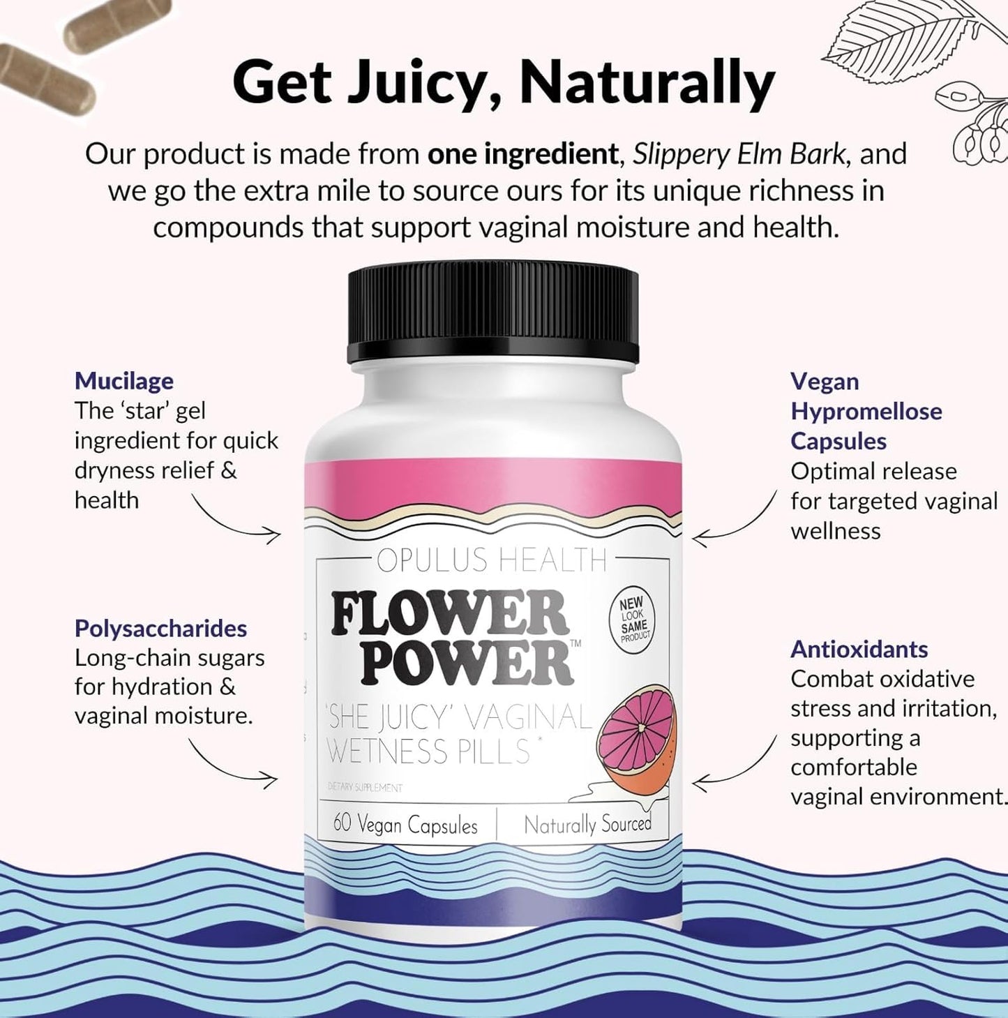 Feminine Support Capsules – Slippery Elm for Vaginal Health - Vixen | Nova Network
