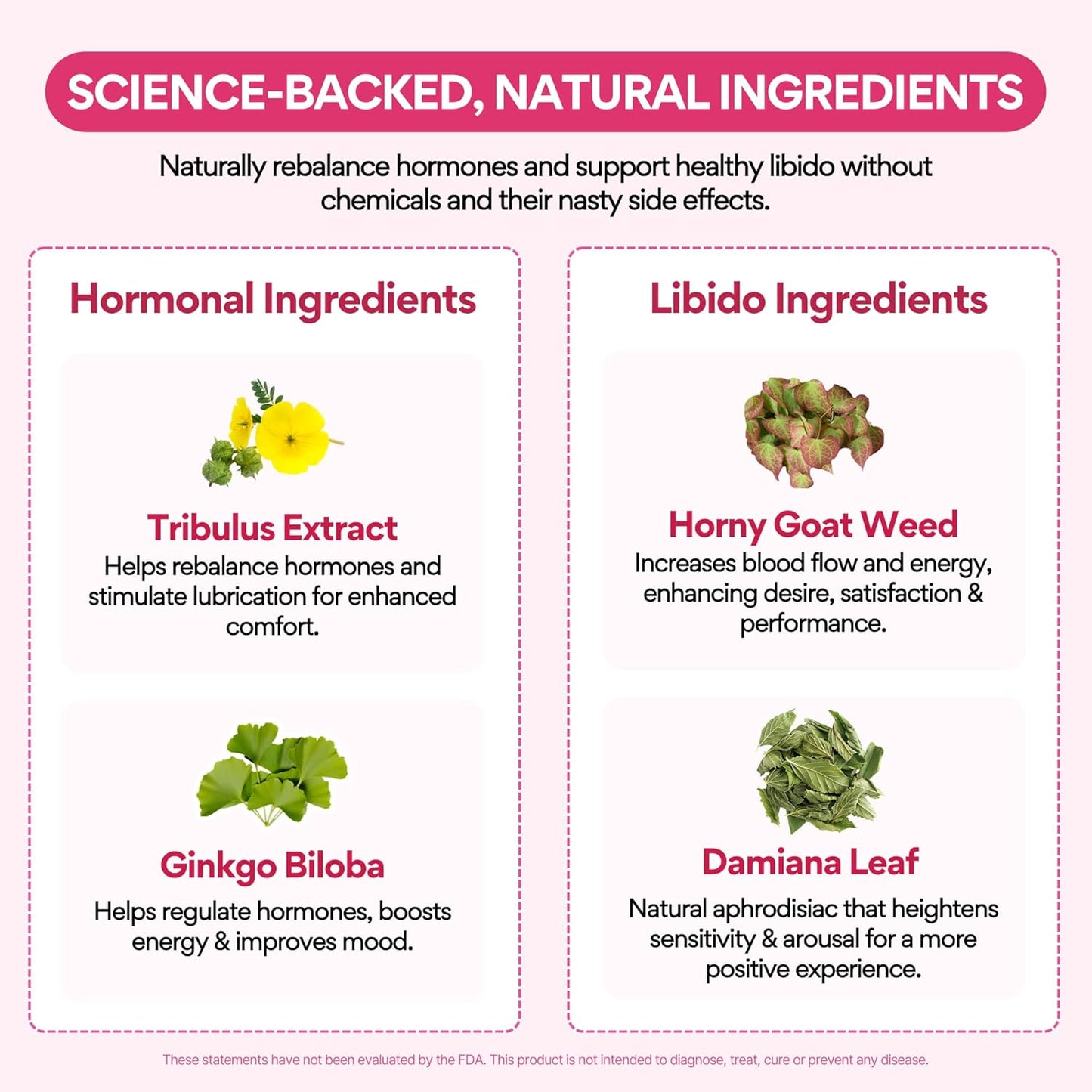 Libido Booster for Women Over 40 – Natural Mood & Energy Support - Vixen | Nova Network
