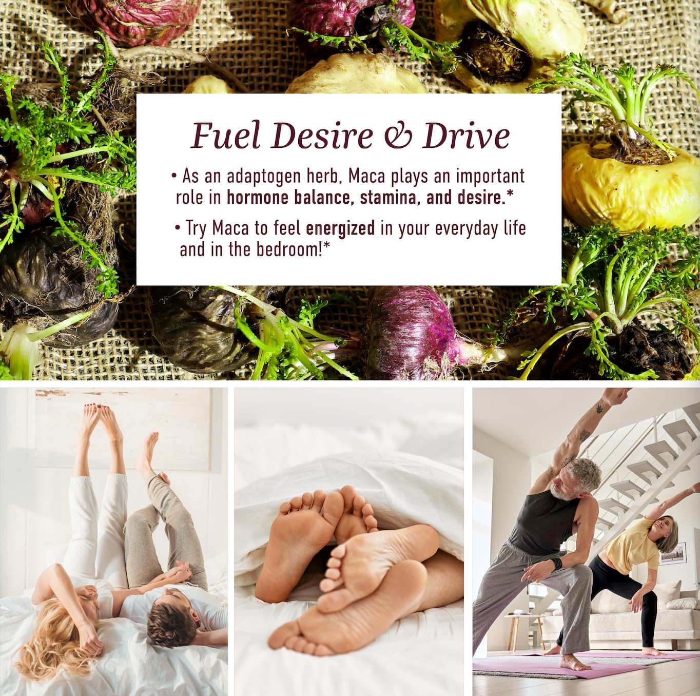 Maca Root Gummies – Libido, Energy & Hormone Support - Vixen | Nova Network