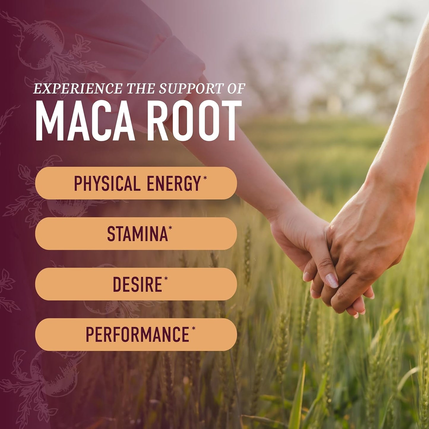 Maca Root Gummies – Libido, Energy & Hormone Support - Vixen | Nova Network