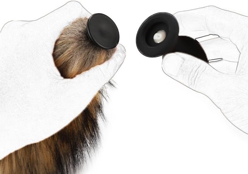WhisperTail Remote Vibrating Fox Tail Plug - Vixen | Nova Network