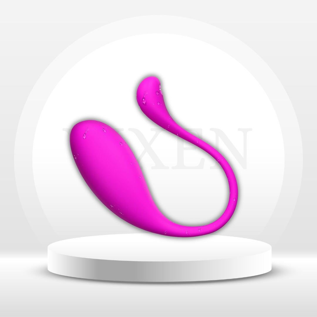 VioletLink App Control Panty Vibrator Egg