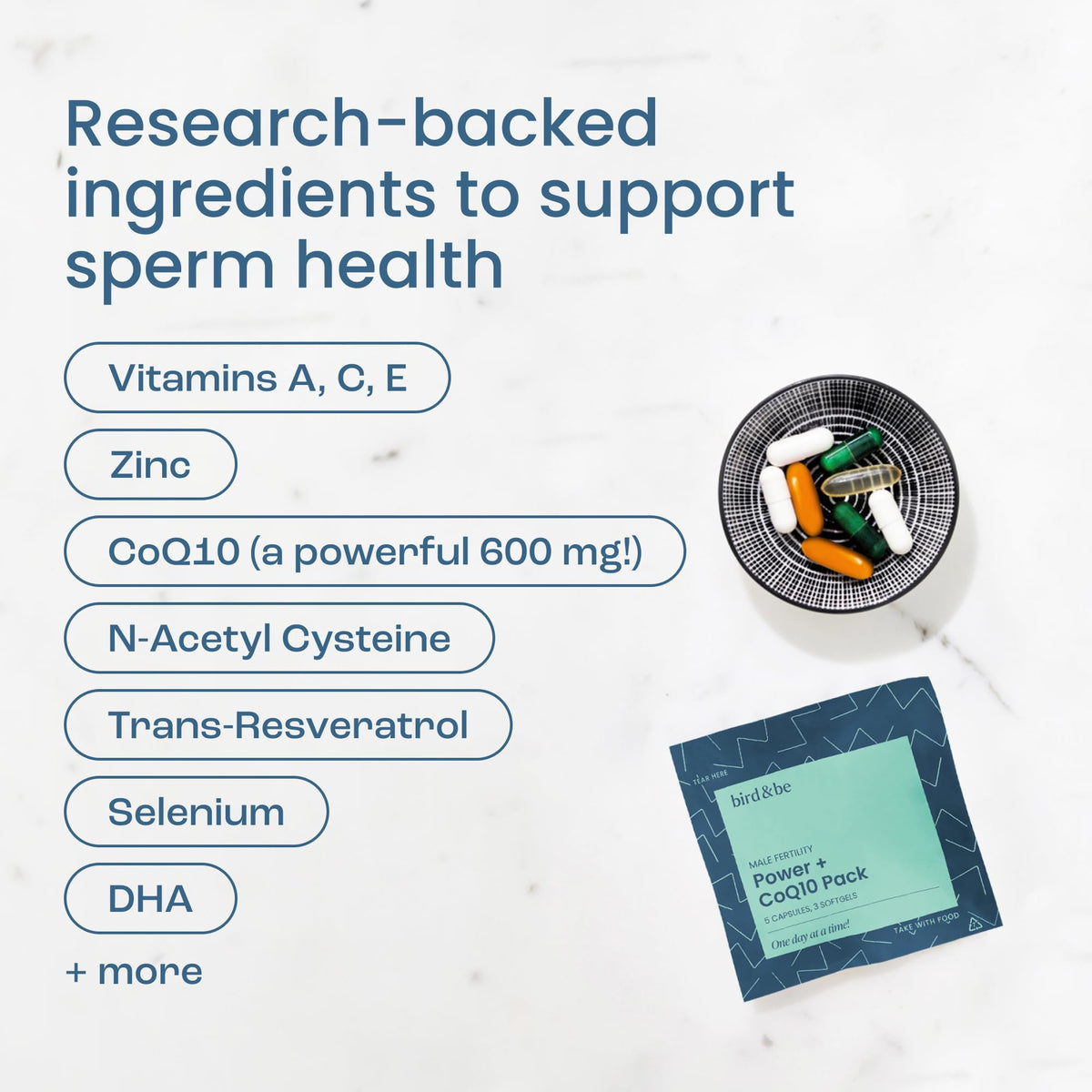 Male Fertility Supplement with CoQ10 600mg | bird&be