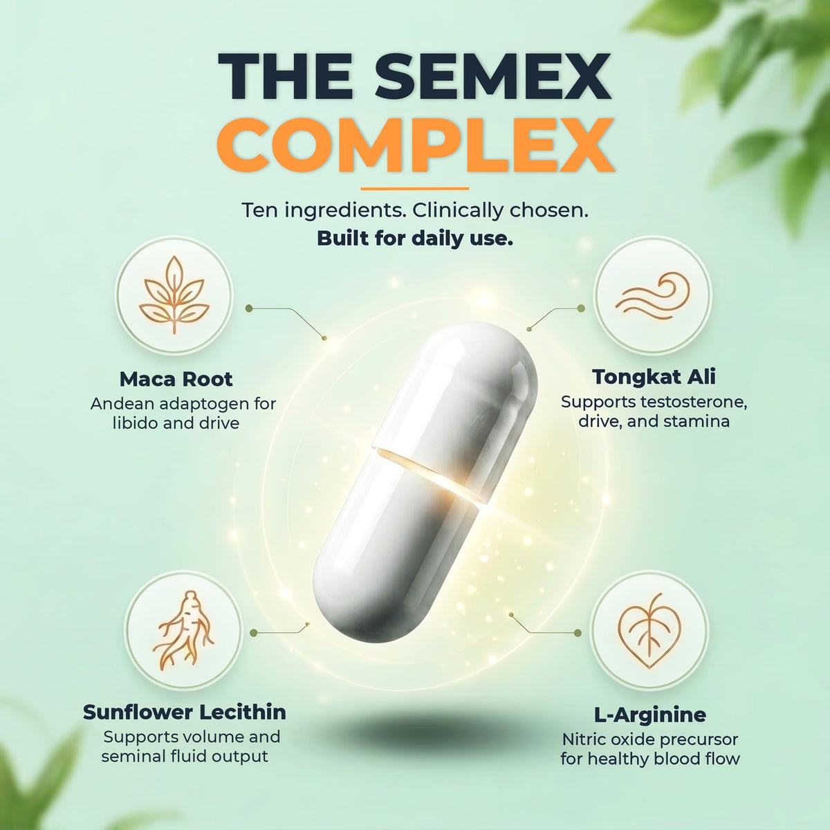 SEMEX Semen Volume Supplement for Men | Newt