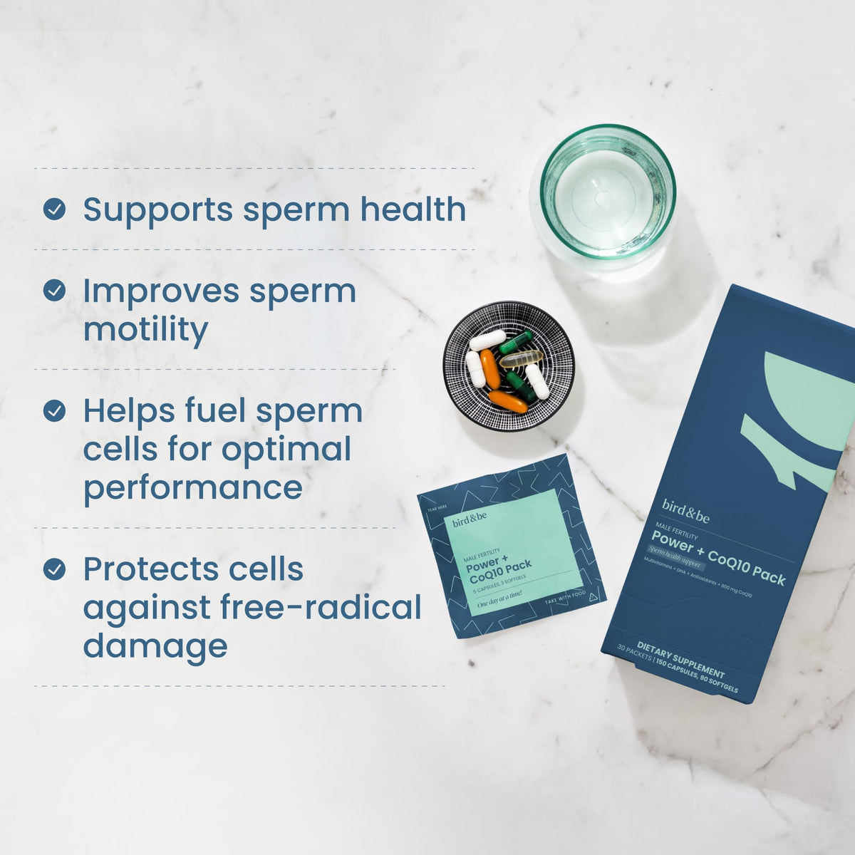 Male Fertility Supplement with CoQ10 600mg | bird&be