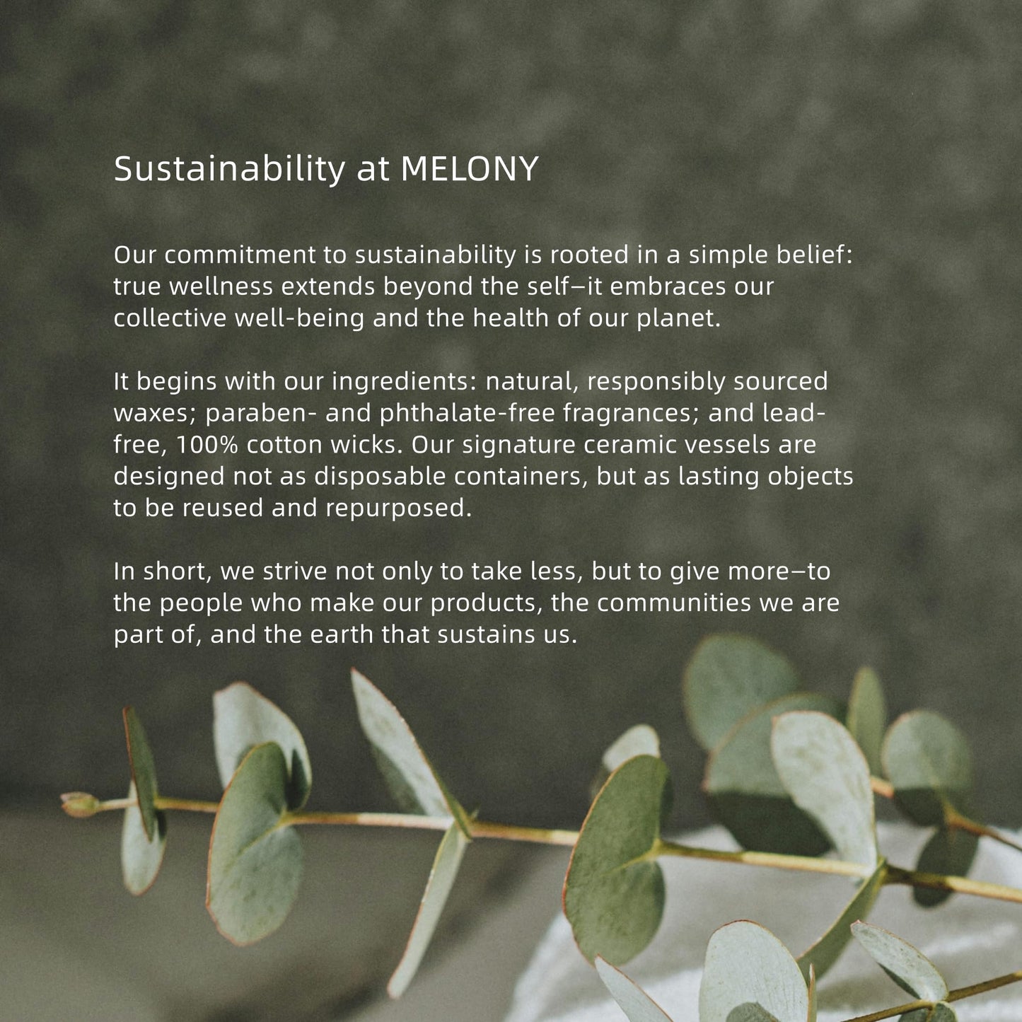 Amber Vanilla Sensual Massage Candle - Vixen | Nova Network