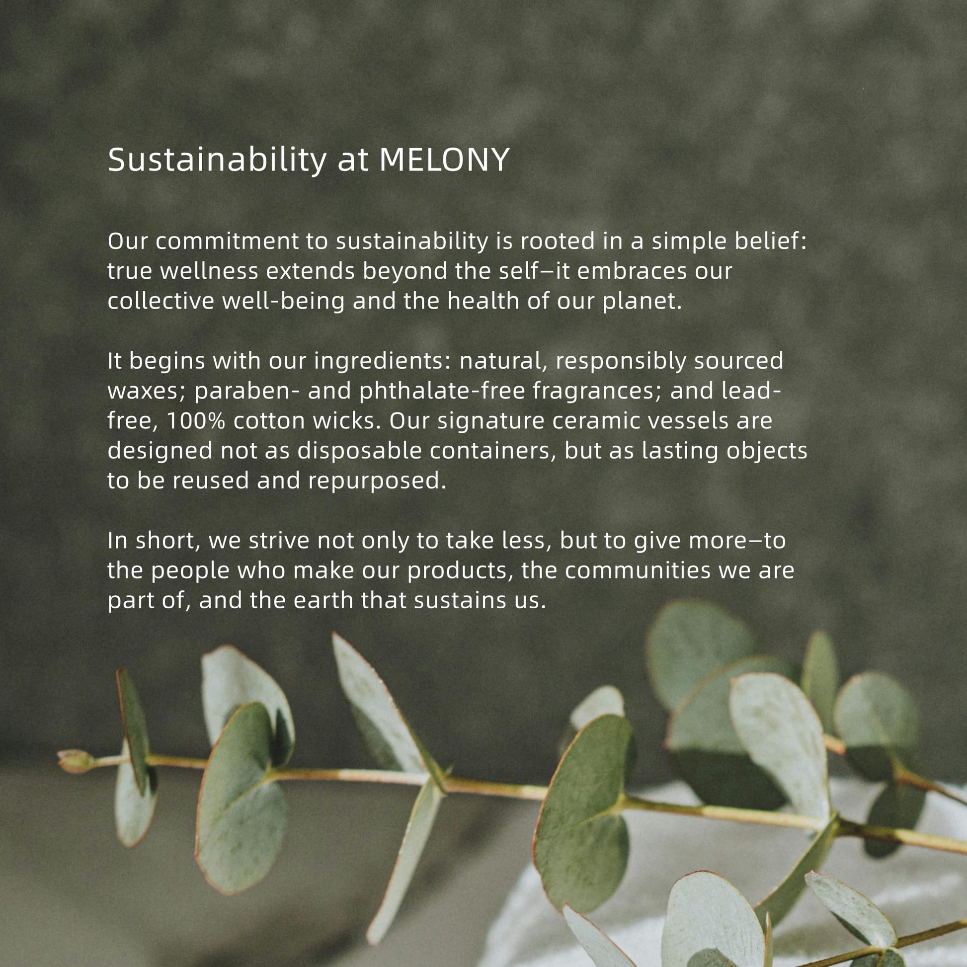 Amber Vanilla Sensual Massage Candle - Vixen | Nova Network