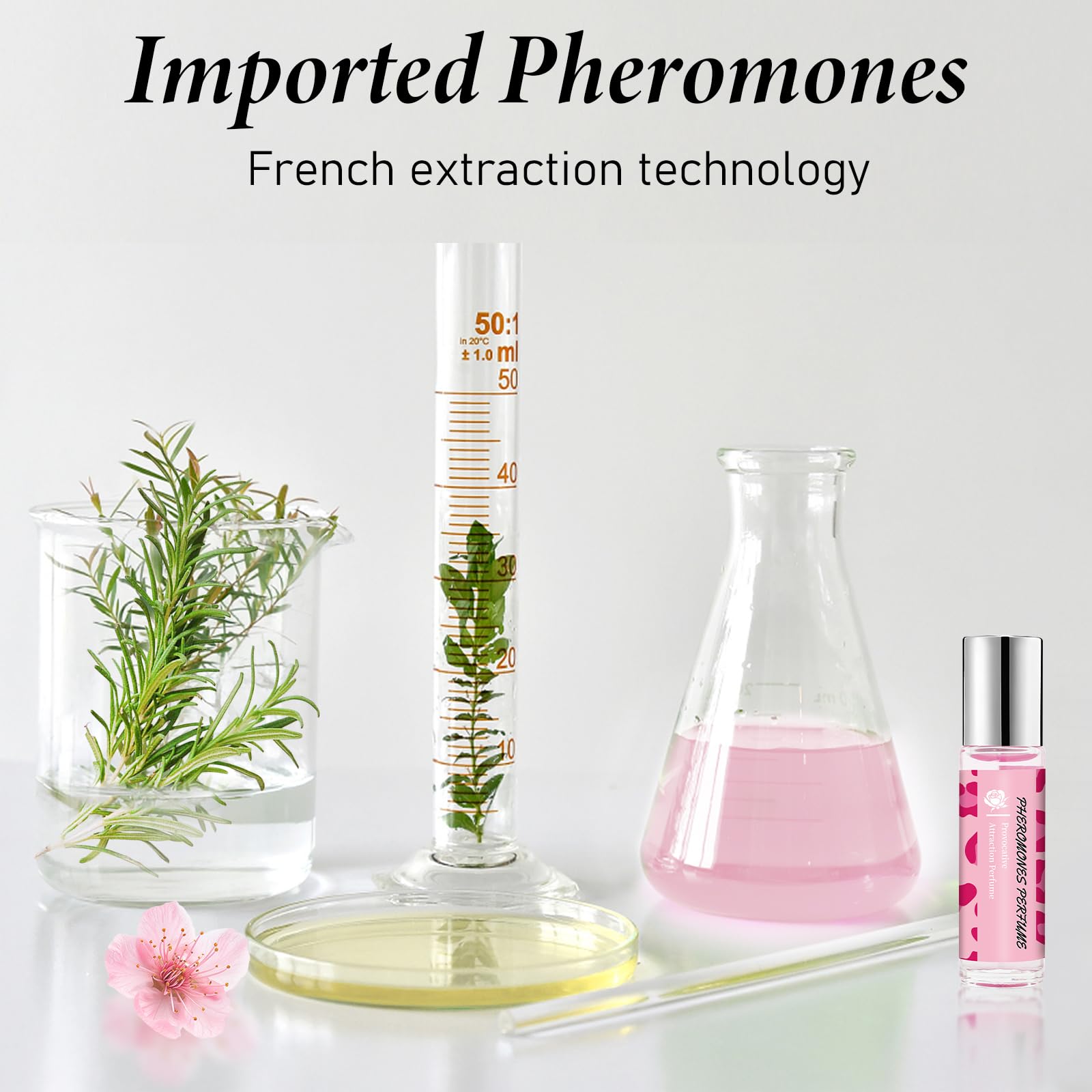 DIBALA Pheromones Perfume for Women,Long Lasting Natural Roll On Perfume Oil 10ml (0.34 fl oz) - Vixen | Nova Network