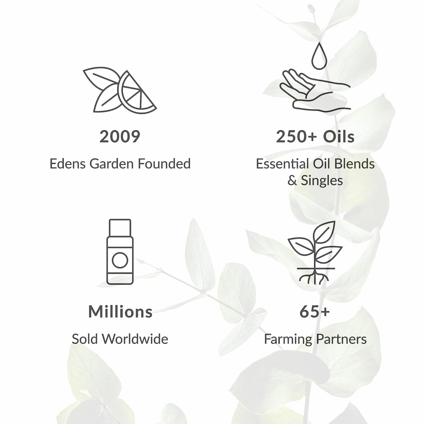 Edens Garden Aphrodisiac Essential Oil Blend - 100% Pure Premium Grade, Undiluted, Natural, Therapeutic, Aromatherapy, The Best for Diffusing, Skin, Candle, Hair 10 ml (.33 fl oz) - Vixen | Nova Network