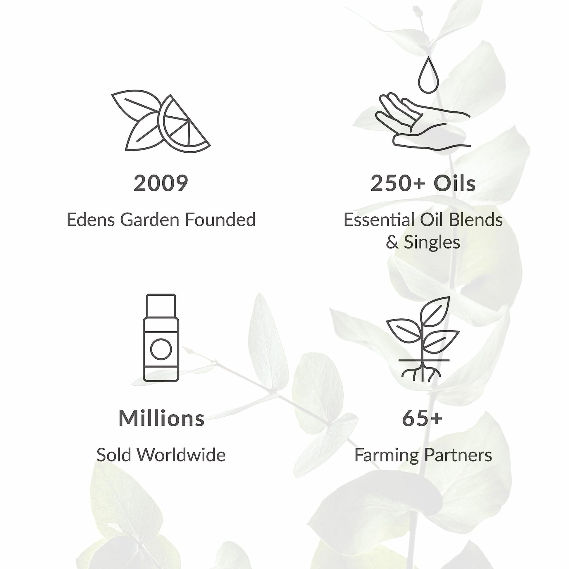 Edens Garden Aphrodisiac Essential Oil Blend - 100% Pure Premium Grade, Undiluted, Natural, Therapeutic, Aromatherapy, The Best for Diffusing, Skin, Candle, Hair 10 ml (.33 fl oz) - Vixen | Nova Network