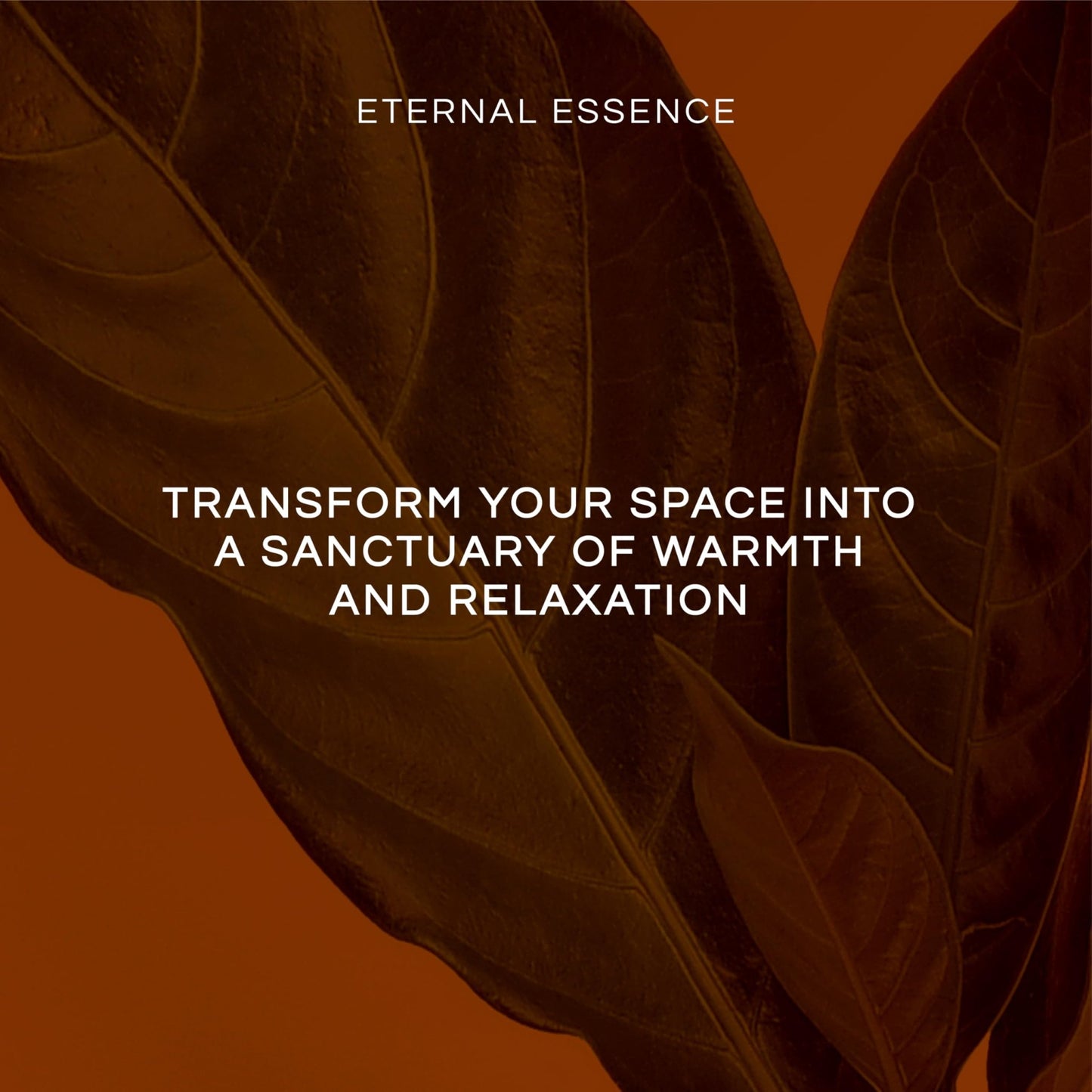 Eternal Essence Oils Date Night Set of 6 Premium Fragrance Oils - Includes PS I Love You, Amber Romance, Secret Crush, Chocolate Fondue, Strawberry Champagne, and Love Spell Scented Oils - 10ML - Vixen | Nova Network