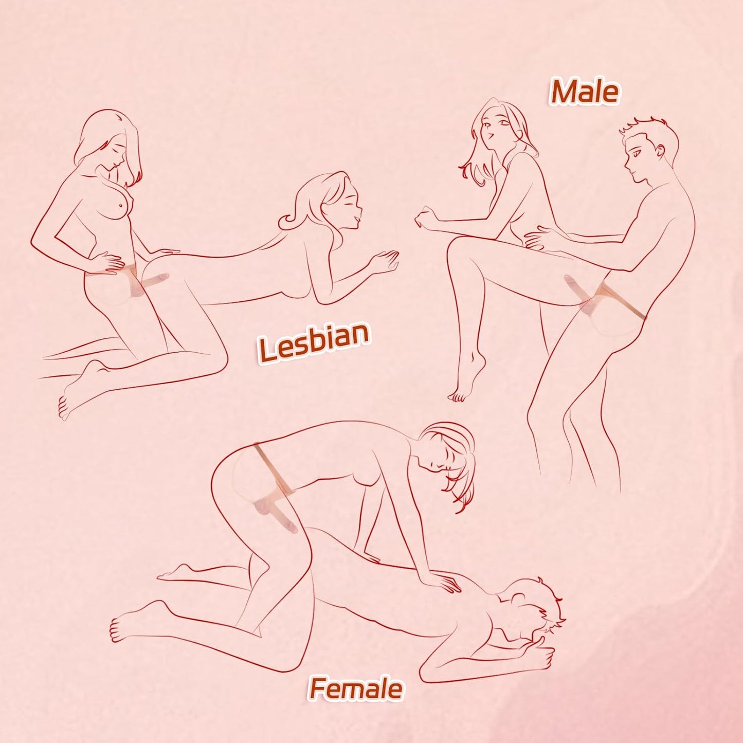 HollowFit Strap - On Harness Hollow Dildo - Vixen | Nova Network