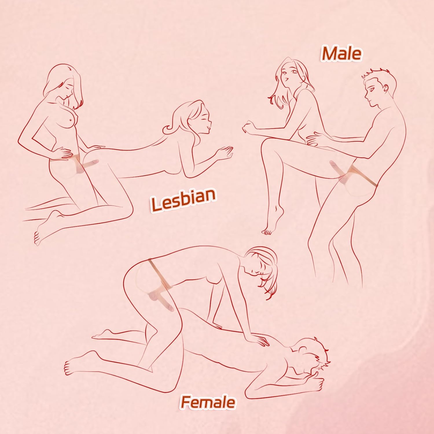 HollowFit Strap - On Harness Hollow Dildo - Vixen | Nova Network