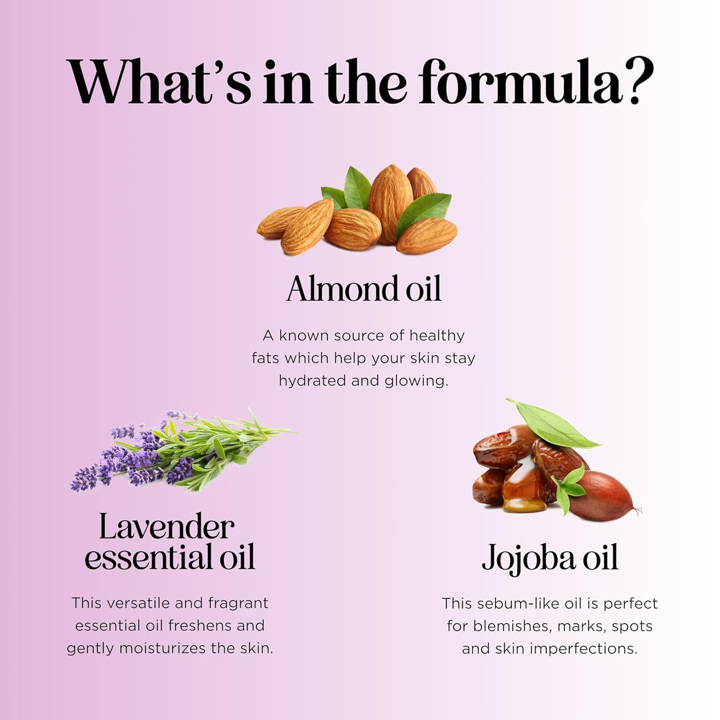 Lavender Aromatherapy Sensual Massage Oil - Vixen | Nova Network