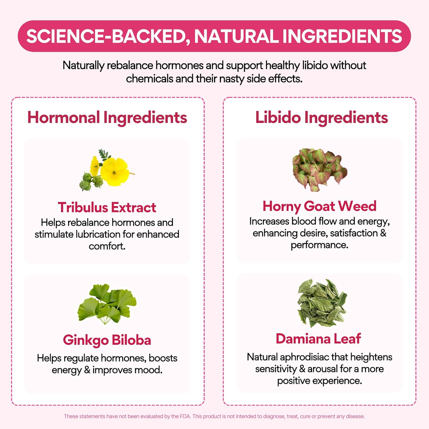 Libido Booster for Women Over 40 – Natural Mood & Energy Support - Vixen | Nova Network
