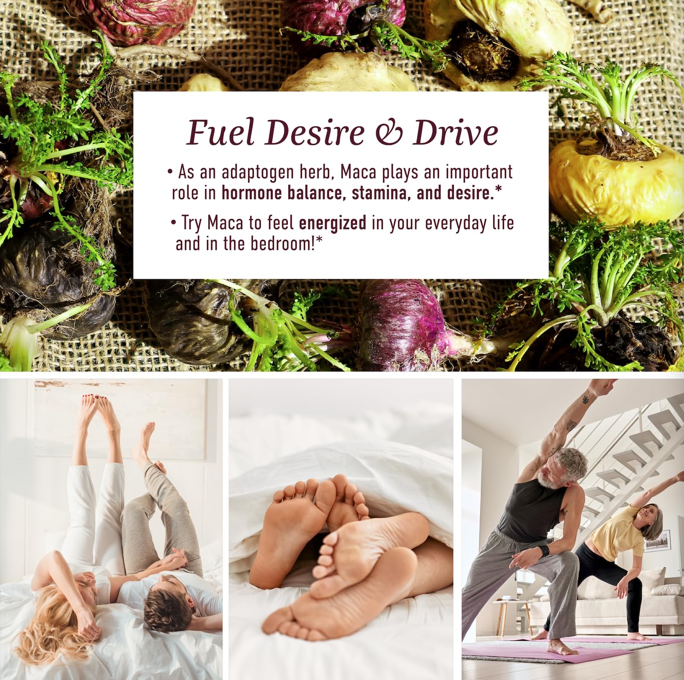 Maca Drive & Libido Gummies - Vixen | Nova Network
