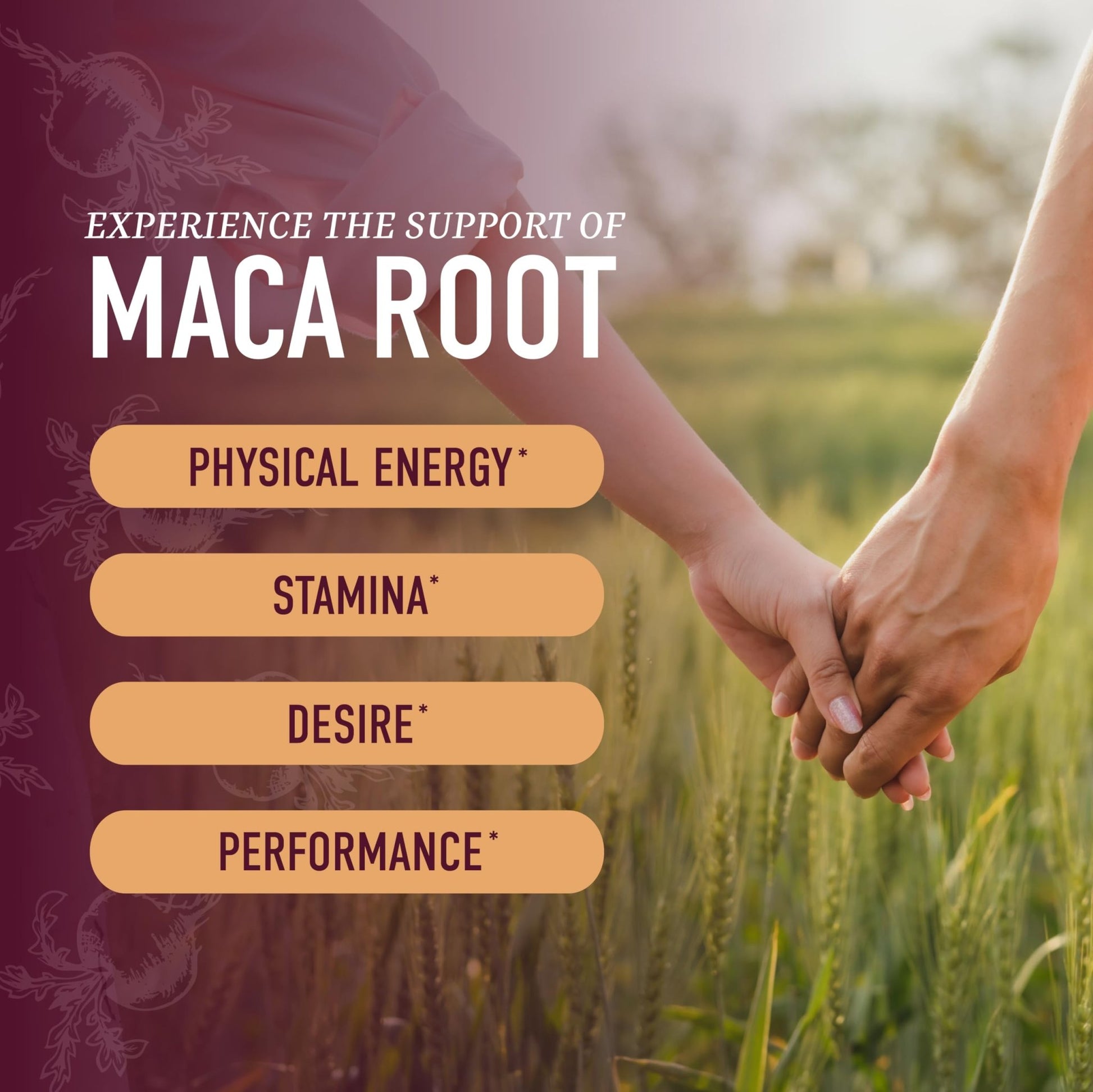 Maca Drive & Libido Gummies - Vixen | Nova Network