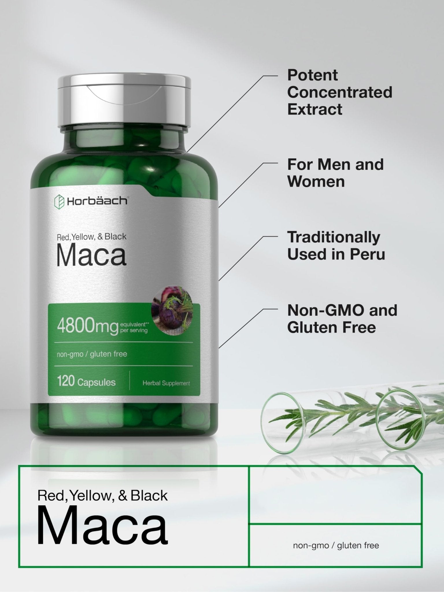 Maca Root Capsules — Female Libido Support | Horbäach - Vixen Adult Playroom