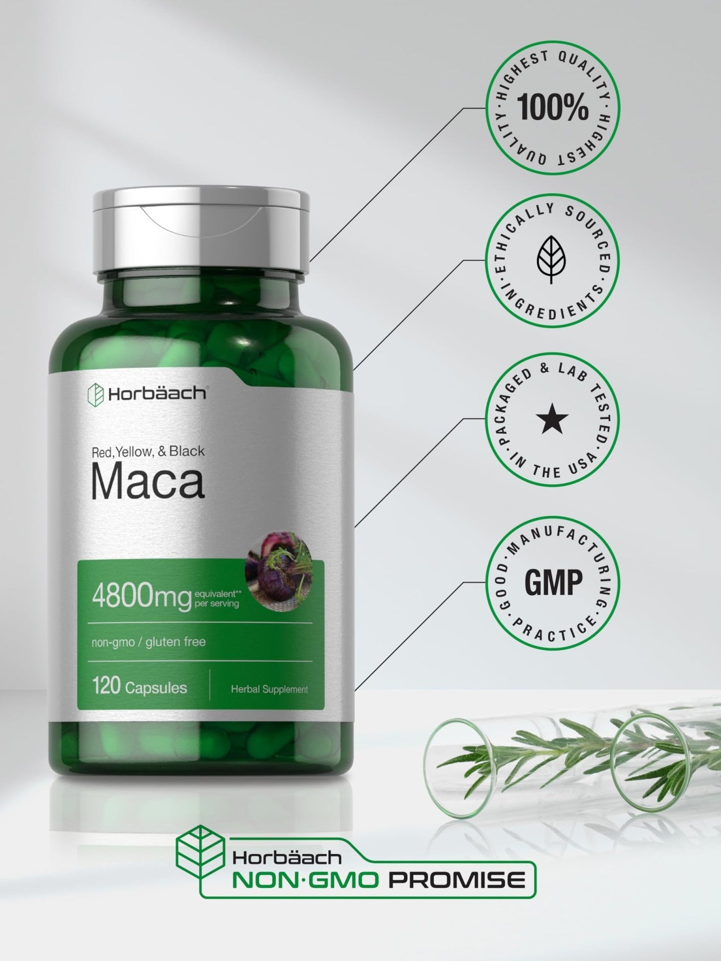 Maca Root Capsules — Female Libido Support | Horbäach - Vixen Adult Playroom
