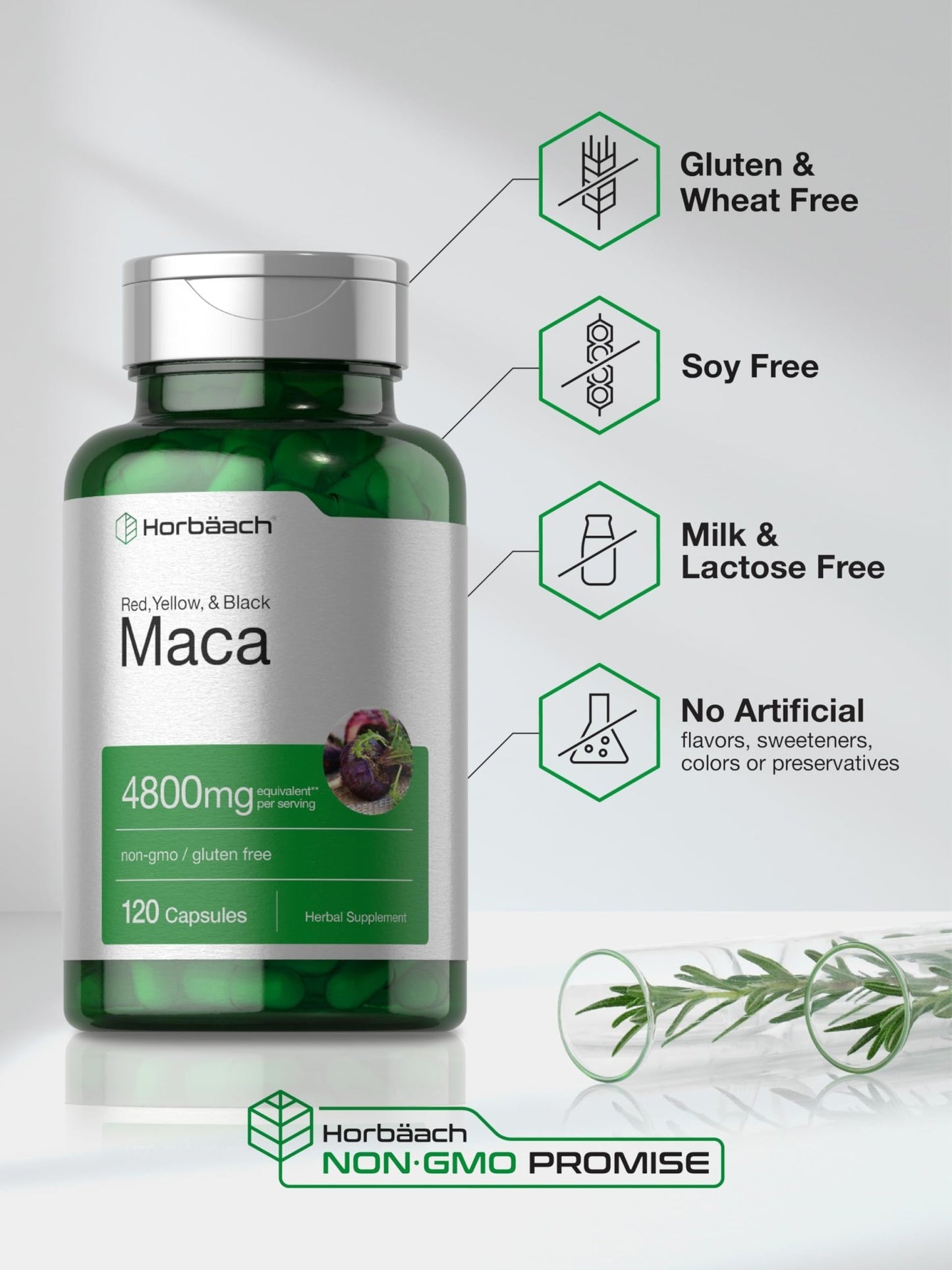 Maca Root Capsules — Female Libido Support | Horbäach - Vixen Adult Playroom