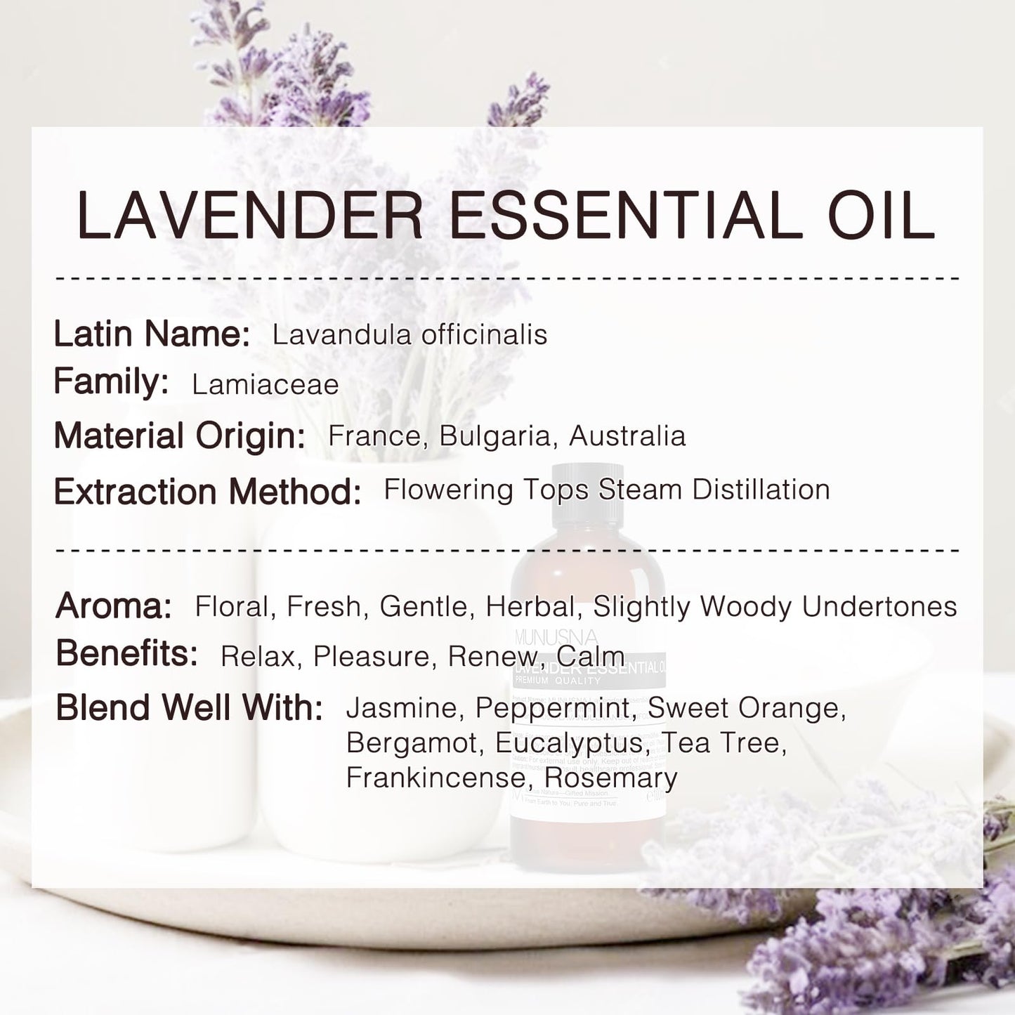Pure Lavender Sensual Essential Oil - Vixen | Nova Network