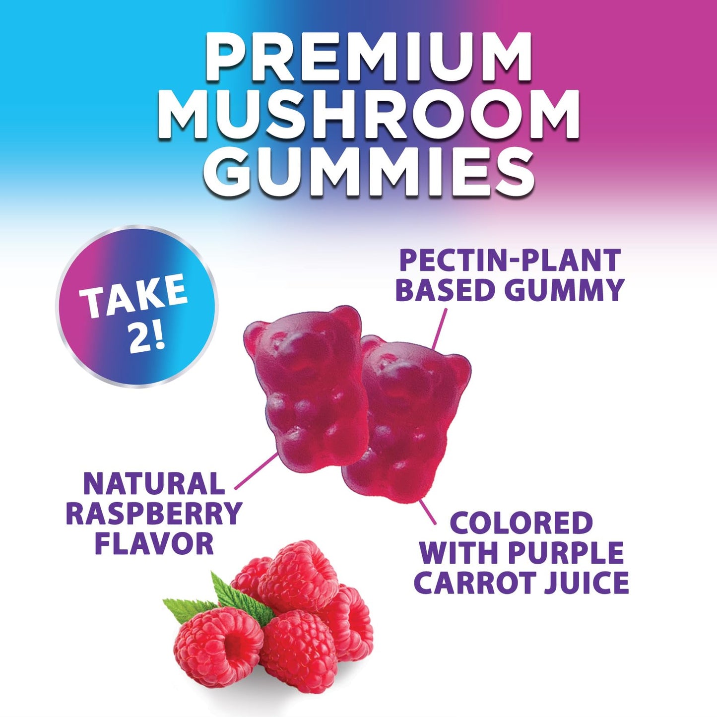 Sexual Vitality Mushroom Complex Gummies - Vixen | Nova Network