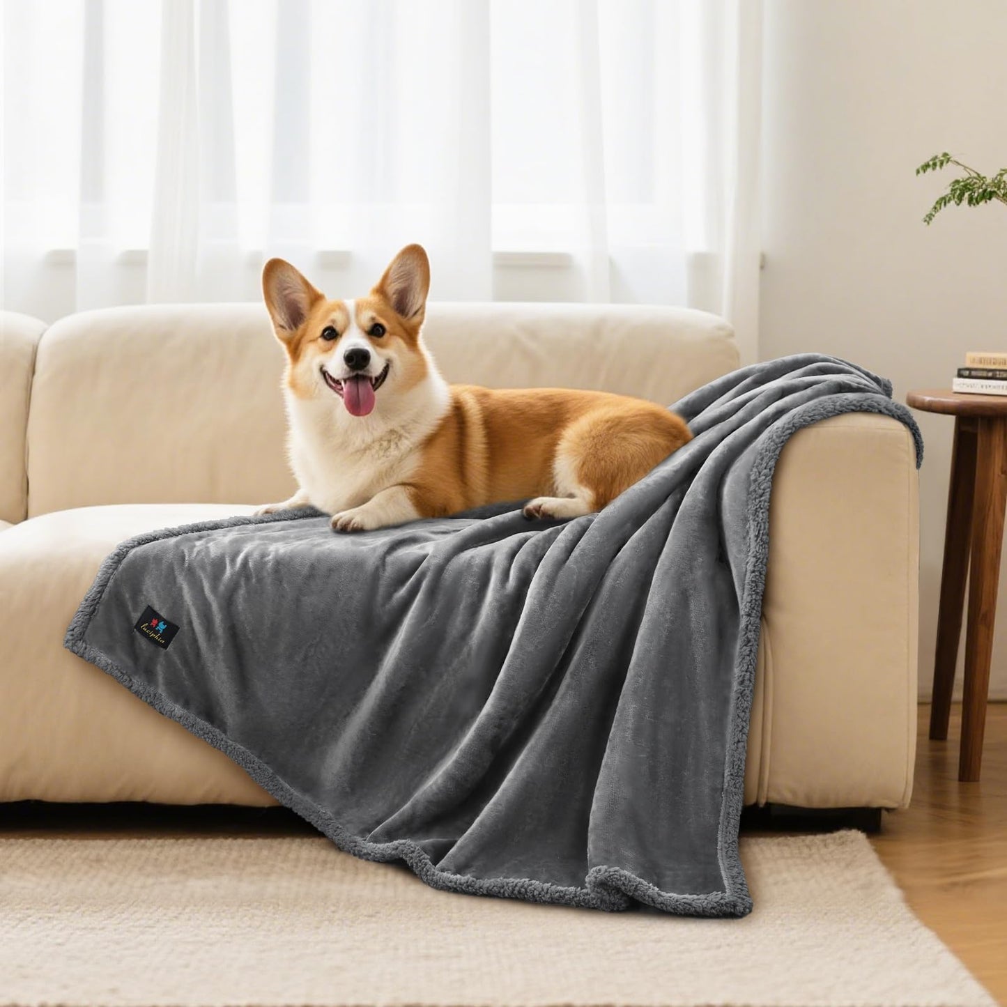 Soft Waterproof Sherpa Intimacy Throw Blanket - Vixen | Nova Network