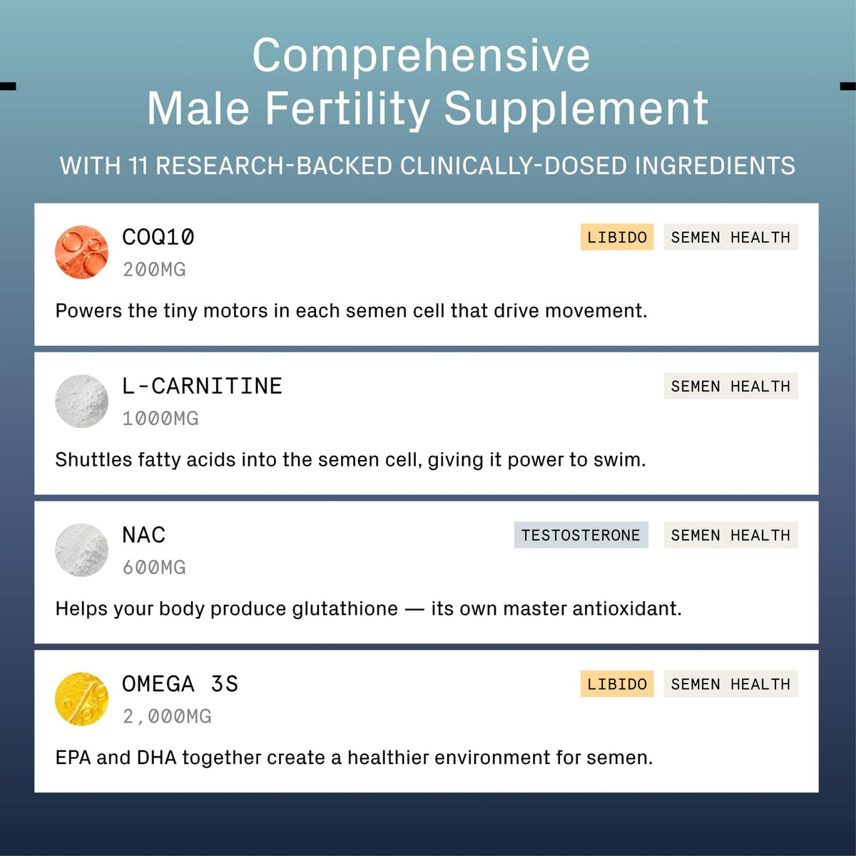 SWIM CLUB Male Fertility Supplement with CoQ10 & Omega-3 - Vixen Adult Playroom