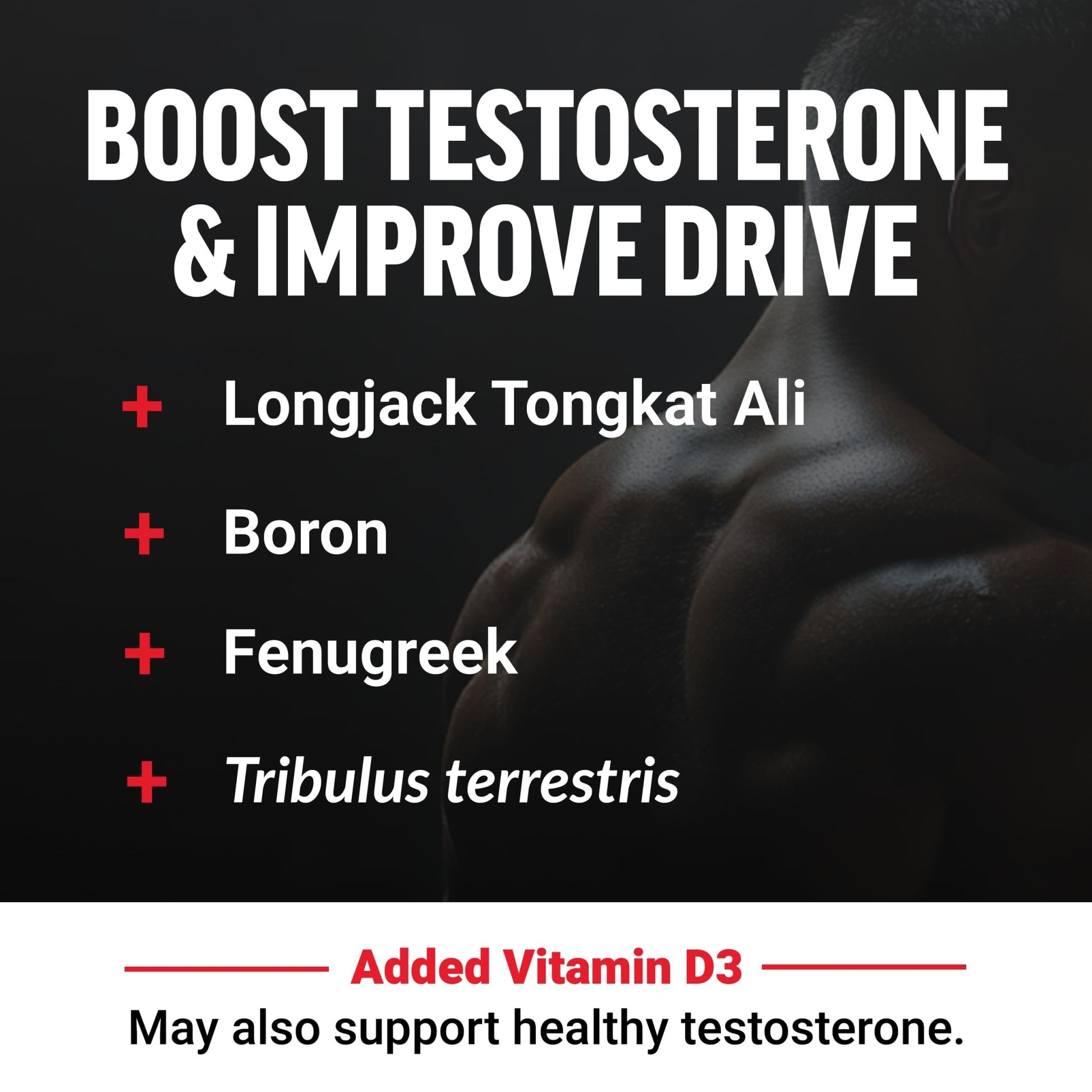 Testosterone & Libido Boost Gummies - Vixen | Nova Network
