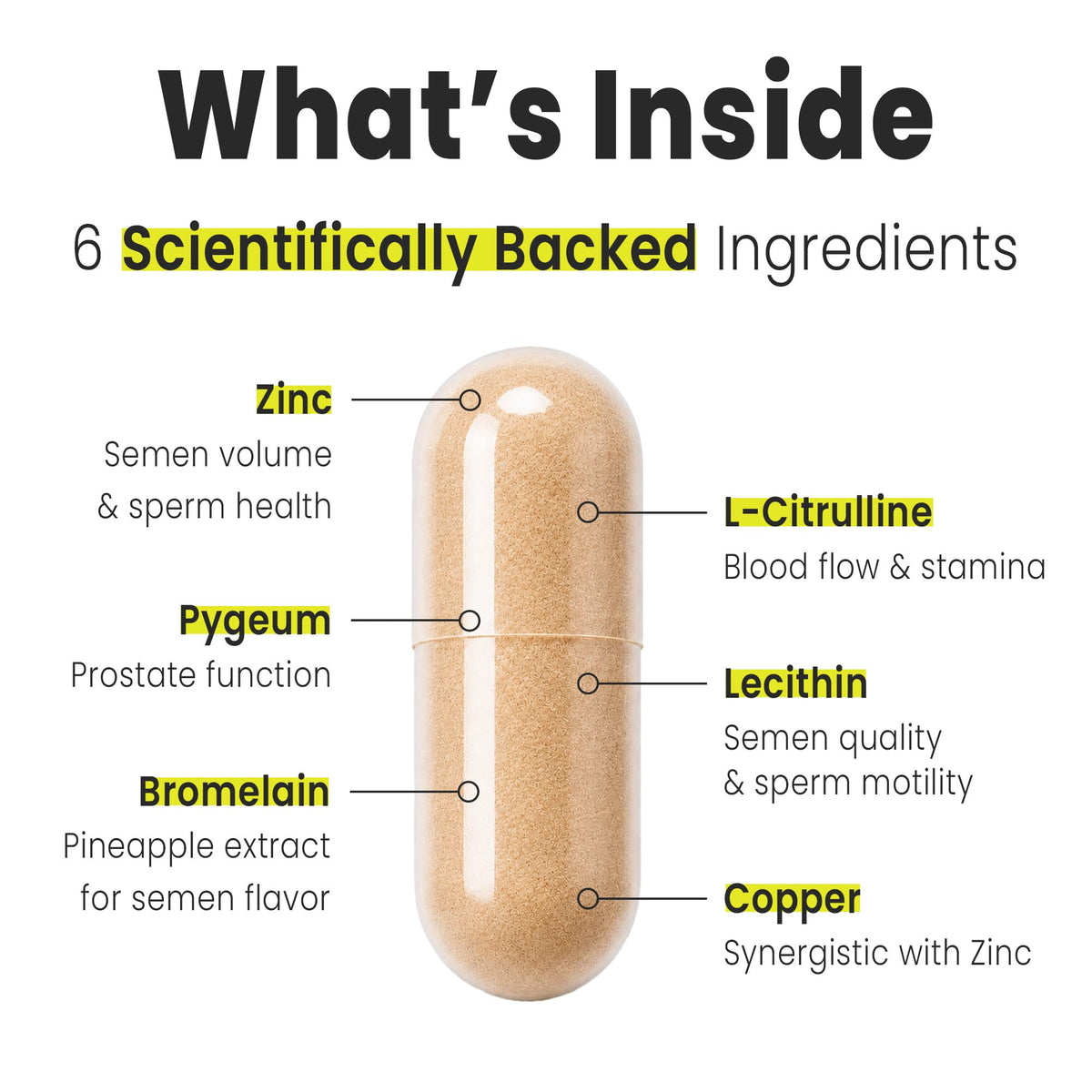 VB Health Load Boost® Semen Volume Booster for Men - Daily Men's Semen Health & Fertility Supplement - Lecithin, Pygeum, L-Citrulline, Zinc, Copper & Bromelain - 120 Capsules (1 Month Supply) - Vixen Adult Playroom