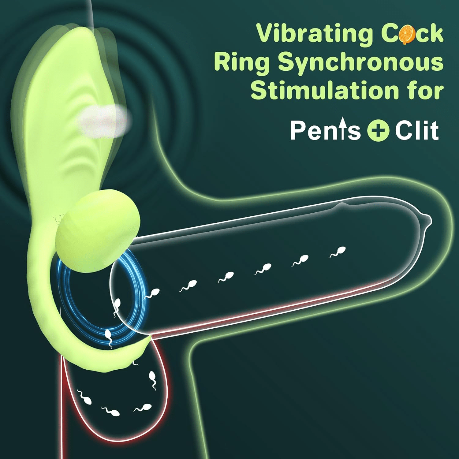WillowLeaf Vibrating Cock Ring Clit Massager – Remote Control, 10 Modes, IPX6 - Vixen Adult Playroom