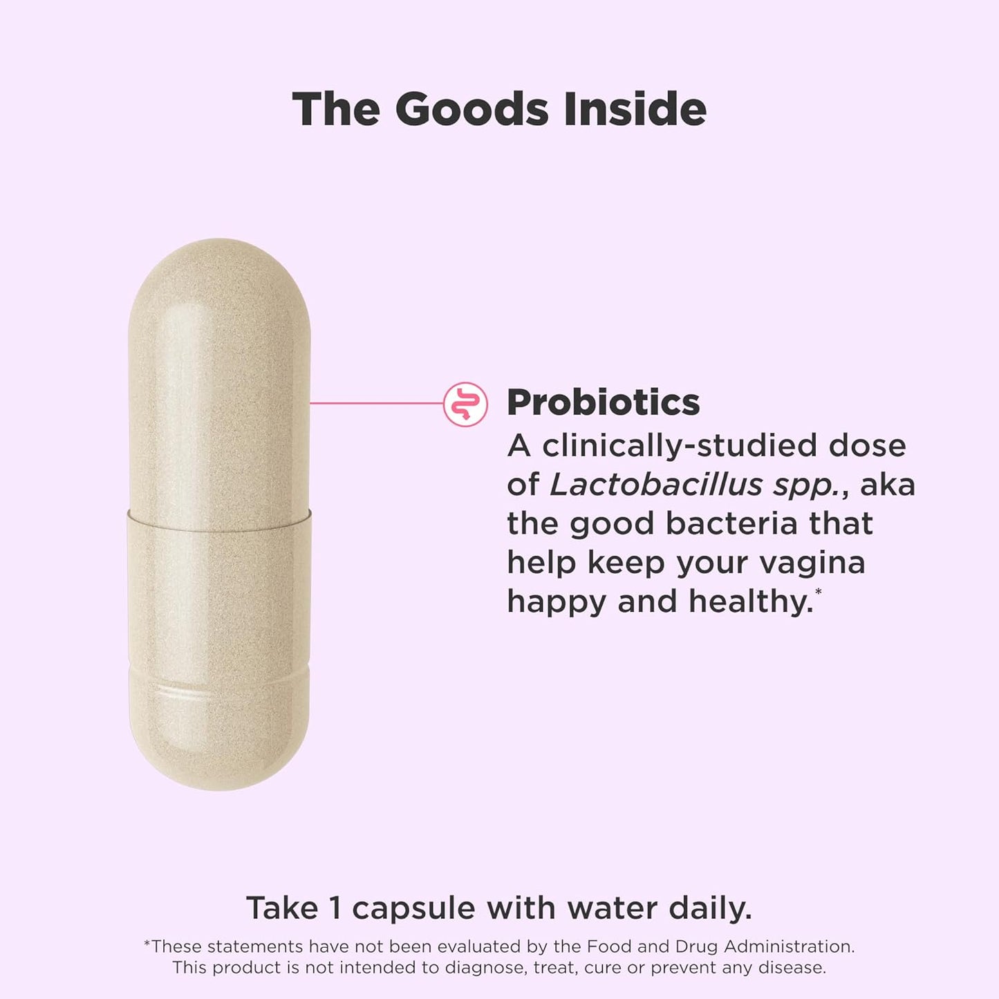 Women’s Probiotic – Vaginal pH & Flora Support, 10B CFU - Vixen | Nova Network