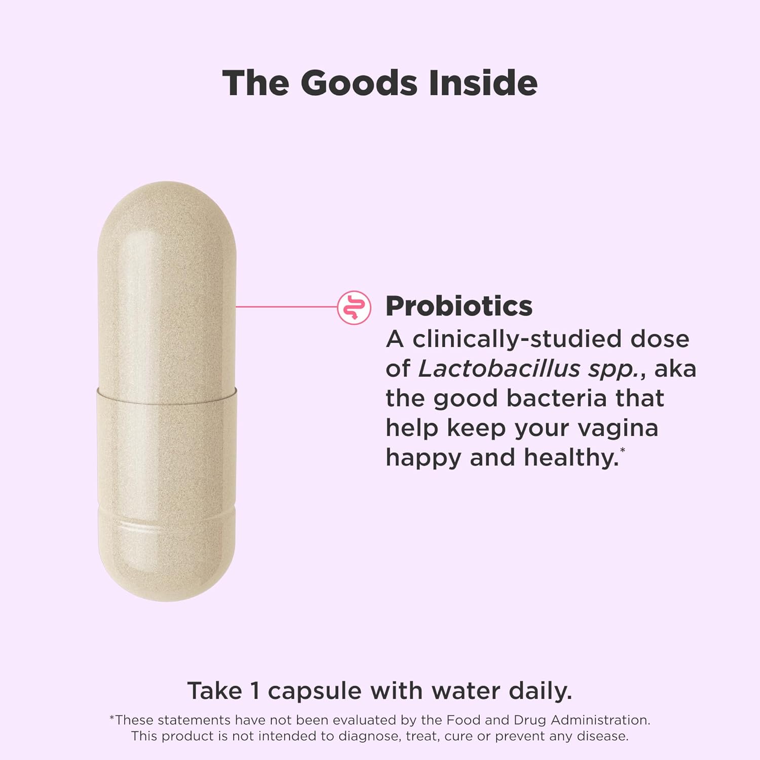 Women’s Probiotic – Vaginal pH & Flora Support, 10B CFU - Vixen | Nova Network